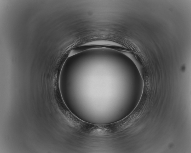 X0000095940364200801181406