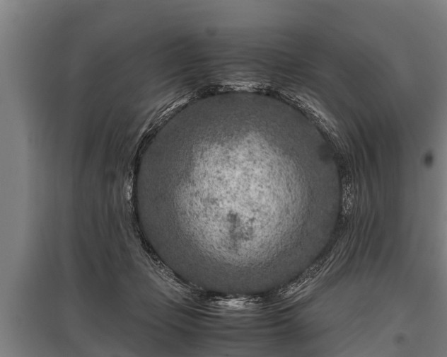 X0000095940365200801181406