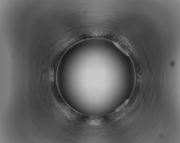 X0000095940368200801181406