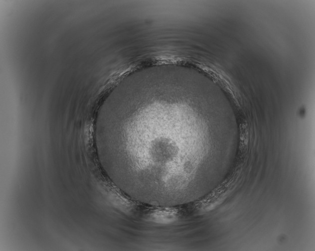 X0000095940369200801181406