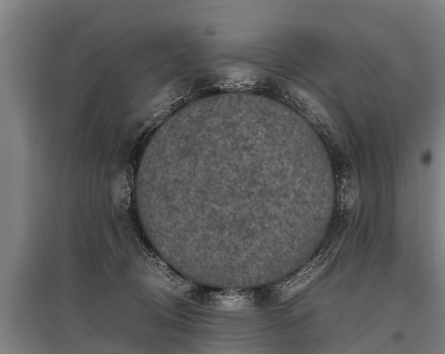 X0000095940370200801181406