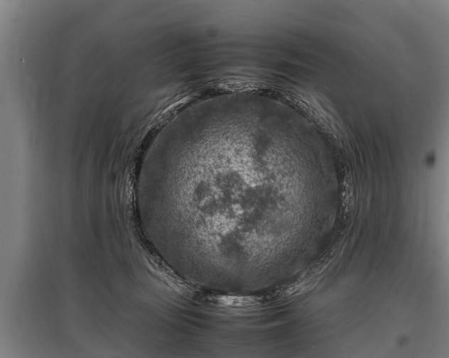 X0000095940371200801181406