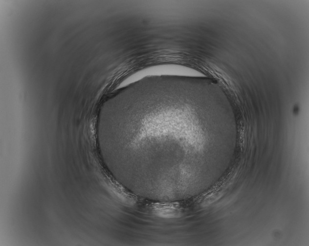 X0000095940373200801181406