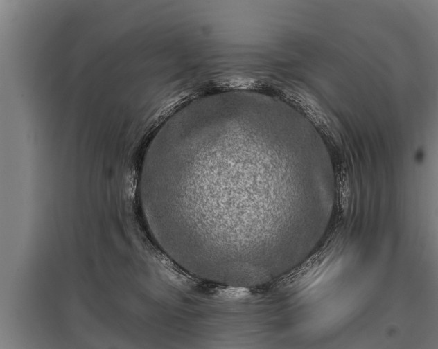 X0000095940374200801181406