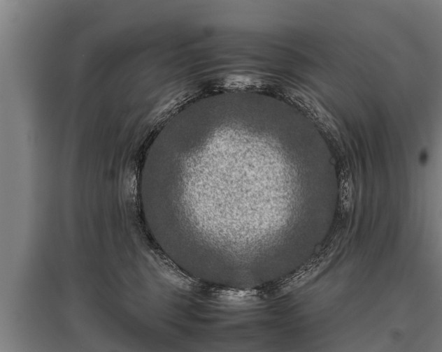 X0000095940375200801181406
