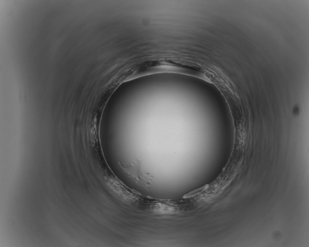 X0000095940376200801181406
