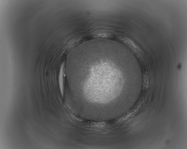 X0000095940377200801181406