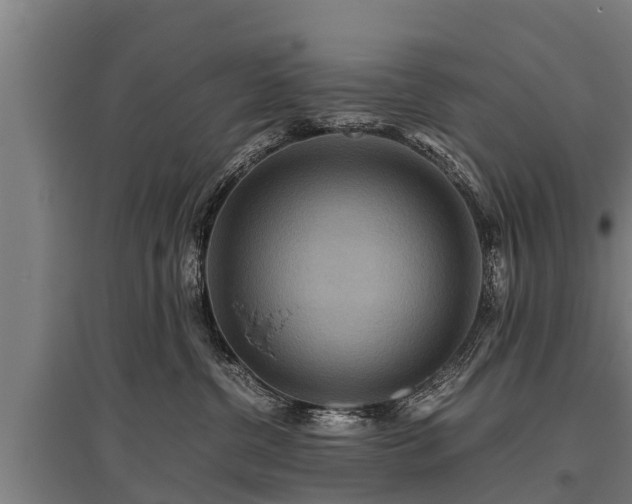 X0000095940380200801181406