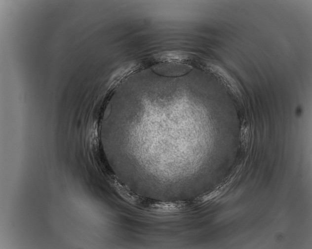 X0000095940381200801181406
