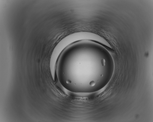 X0000095940384200801181406