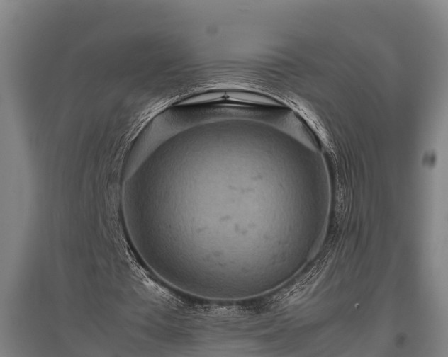 X0000095940385200801181405
