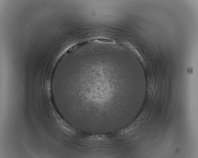 X0000095940386200801181405