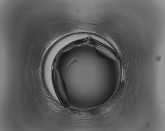 X0000095940387200801181405