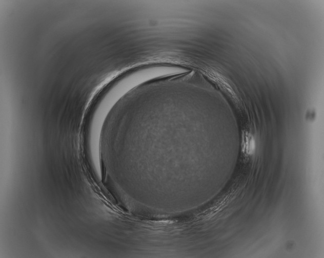 X0000095940388200801181405