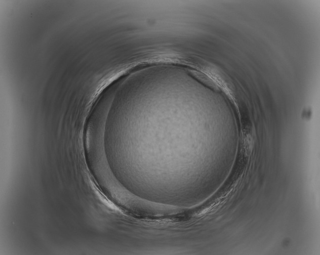 X0000095940389200801181405
