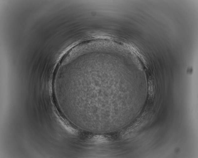 X0000095940390200801181405