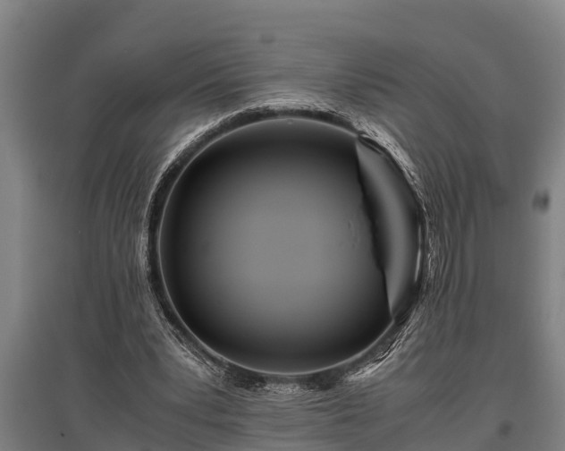 X0000095940391200801181405