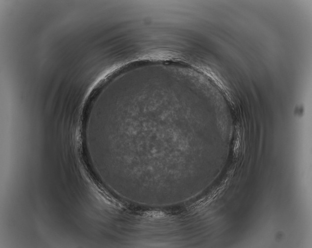 X0000095940392200801181405