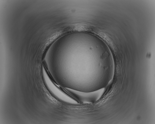 X0000095940393200801181405