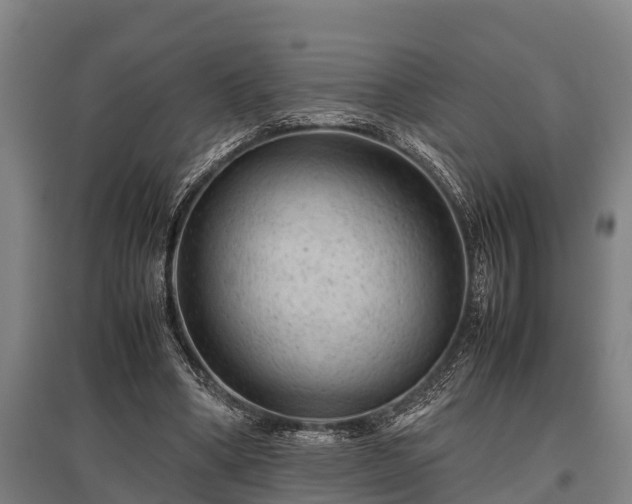 X0000095940394200801181405