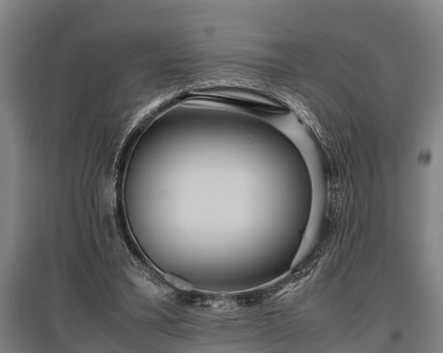 X0000095940395200801181405