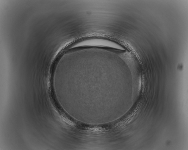 X0000095940396200801181405