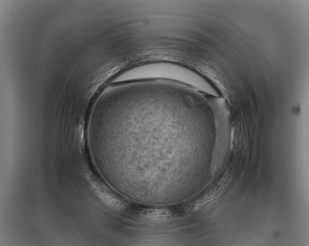 X0000095940398200801181405