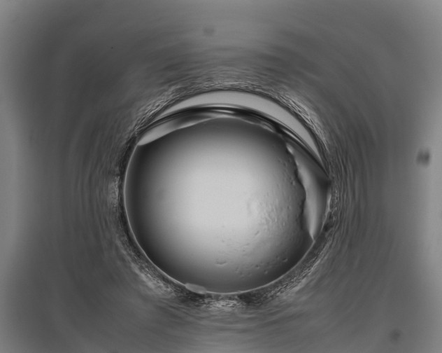 X0000095940401200801181405
