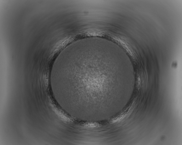 X0000095940402200801181405