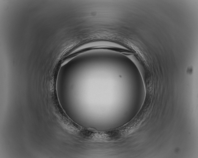 X0000095940403200801181405