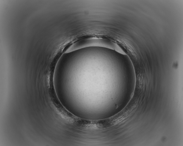X0000095940404200801181405