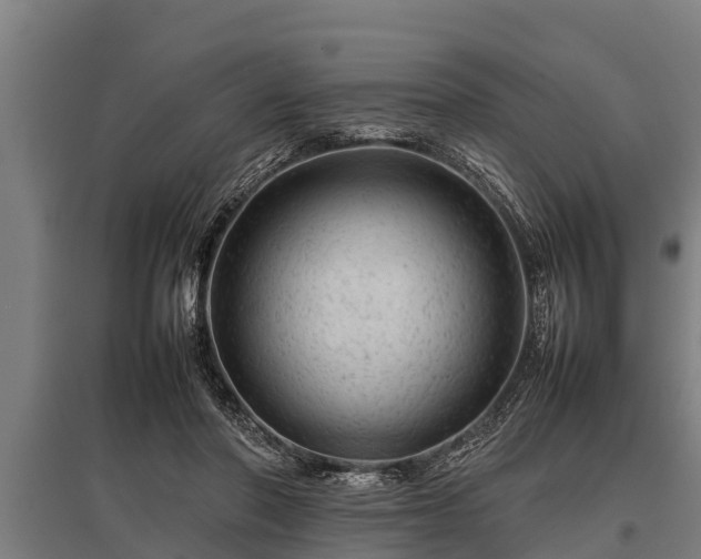 X0000095940406200801181405