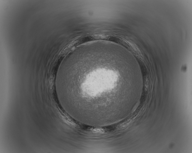 X0000095940409200801181405