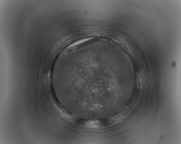 X0000095940410200801181405