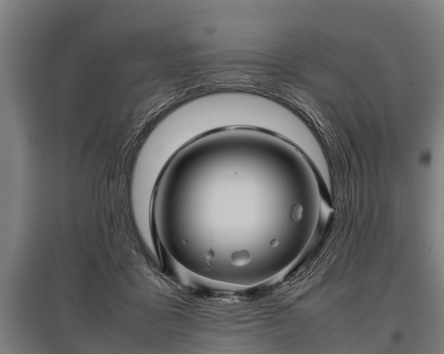 X0000095940411200801181405