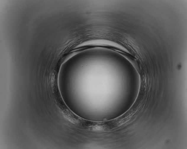 X0000095940412200801181405