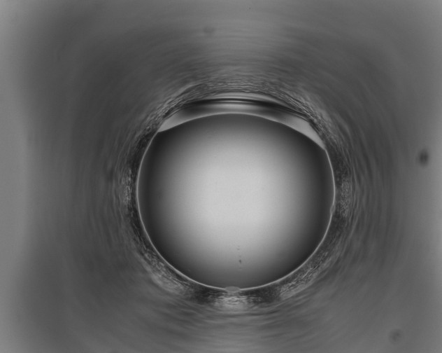 X0000095940413200801181405