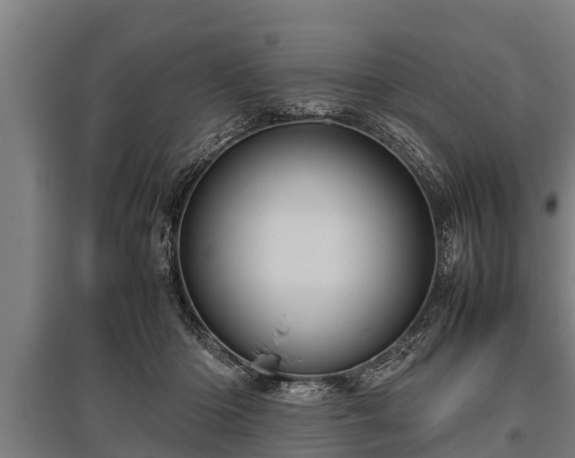 X0000095940414200801181405