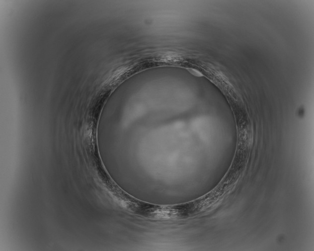 X0000095940415200801181405