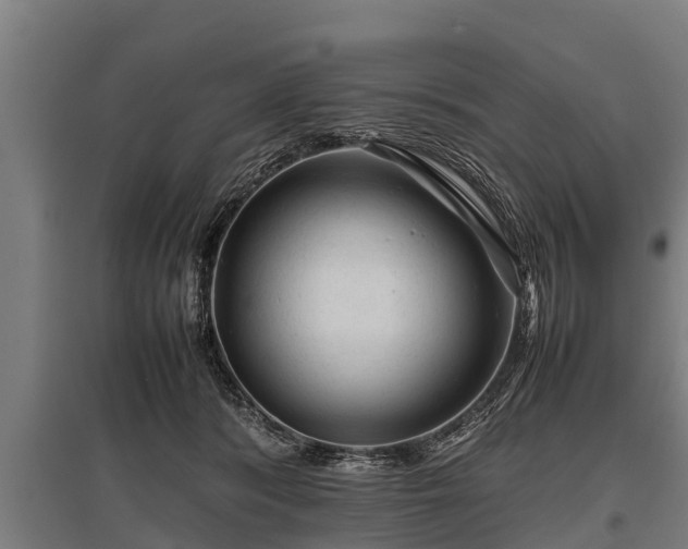 X0000095940416200801181405