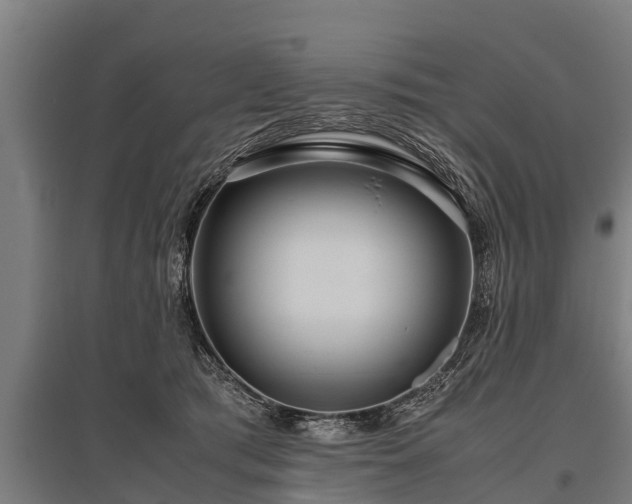X0000095940417200801181405