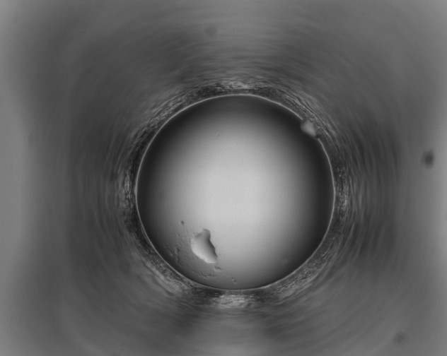 X0000095940418200801181405
