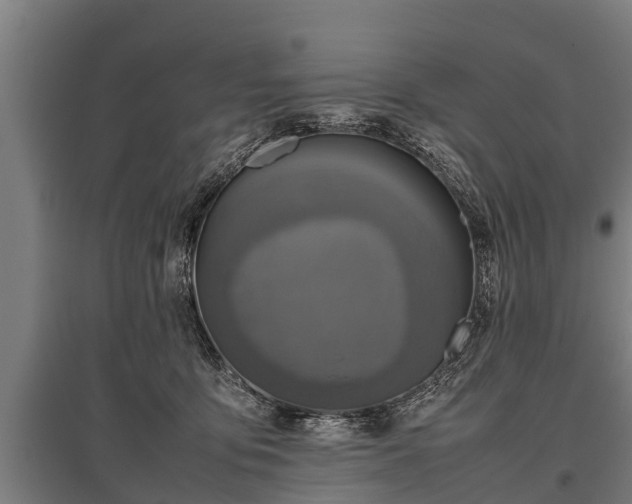 X0000095940419200801181405
