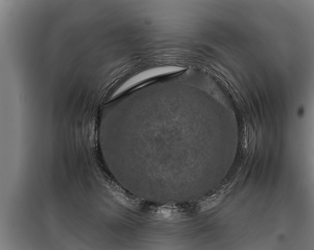X0000095940420200801181405