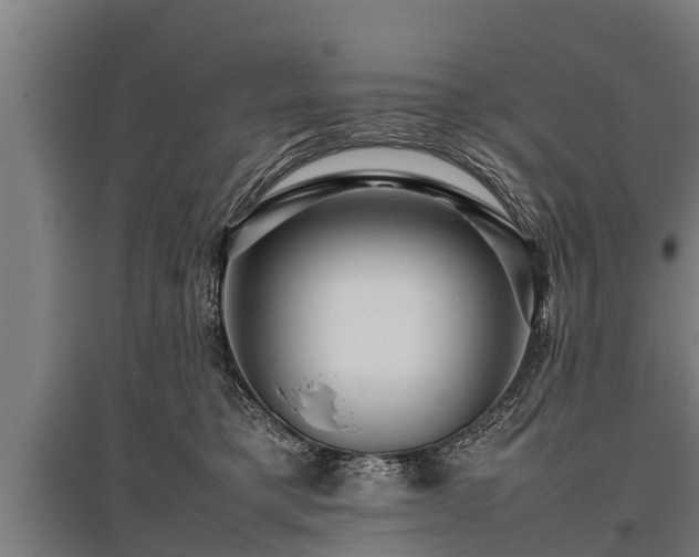 X0000095940421200801181405