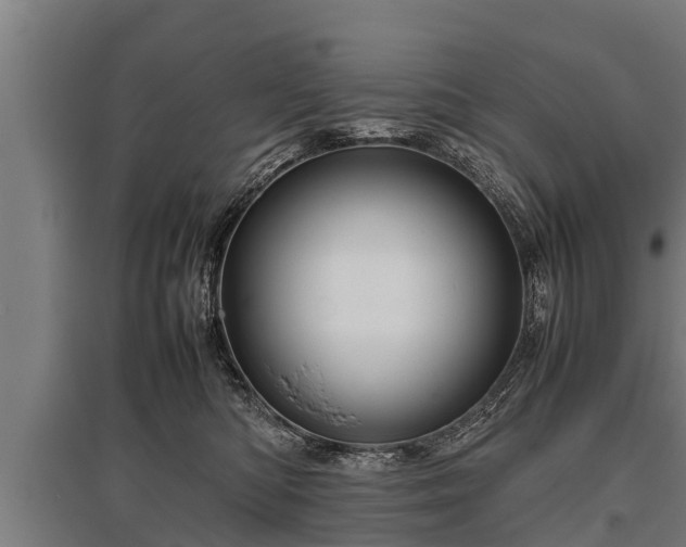 X0000095940422200801181405