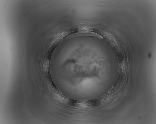 X0000095940423200801181405