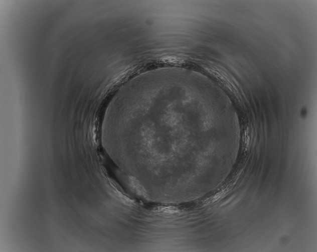 X0000095940424200801181405
