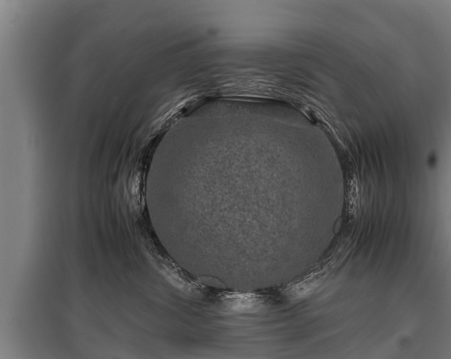 X0000095940428200801181405