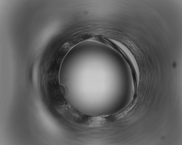 X0000095940429200801181405